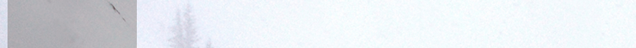 top homepage